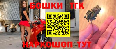 гашик Новодвинск