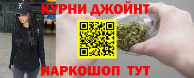 сатива Новокубанск
