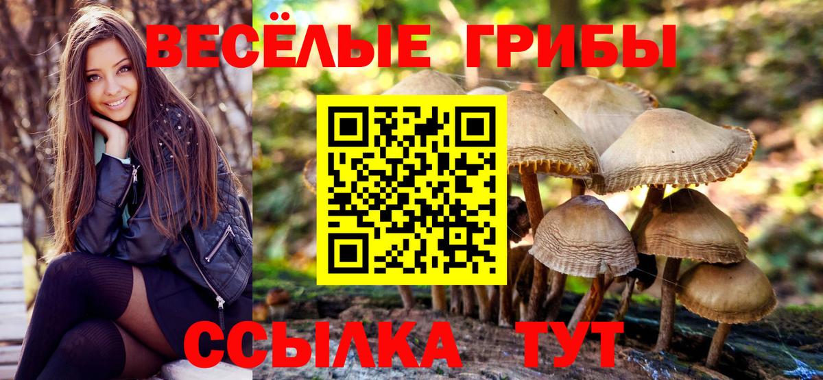 Галлюциногенные грибы мицелий Тольятти