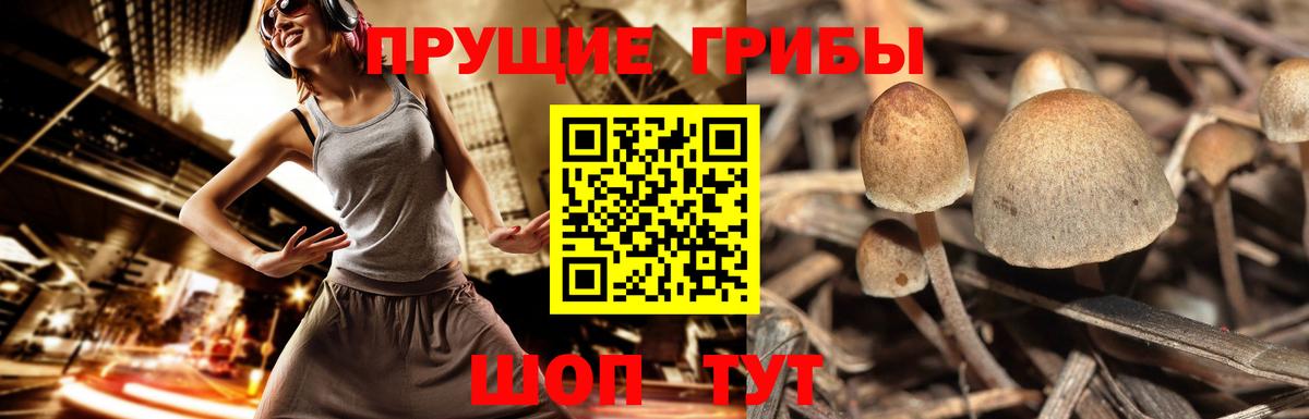 АМФЕТАМИН Тольятти